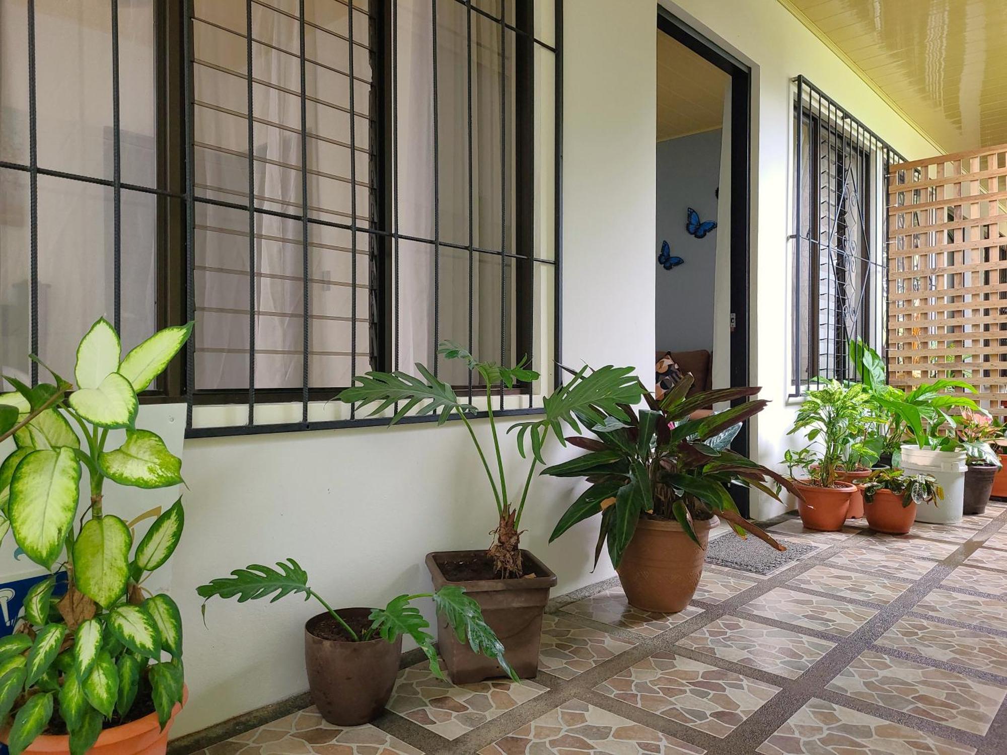 Butterfly Apartments La Fortuna Luaran gambar