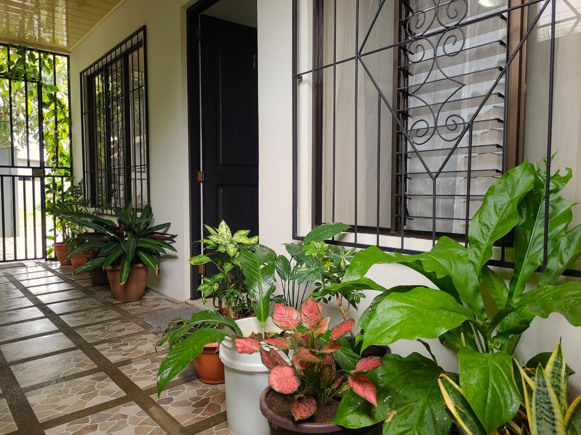 Butterfly Apartments La Fortuna Luaran gambar